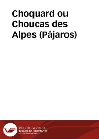 Choquard ou Choucas des Alpes (Pájaros) | Biblioteca Virtual Miguel de Cervantes