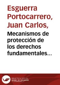 Mecanismos de protección de los derechos fundamentales de los particulares | Biblioteca Virtual Miguel de Cervantes